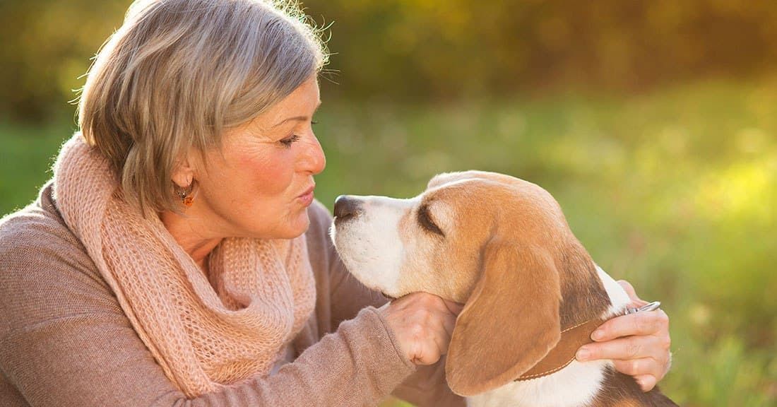 Grandes beneficios terapéuticos de tener una mascota, según mascotaenadopcion.com
