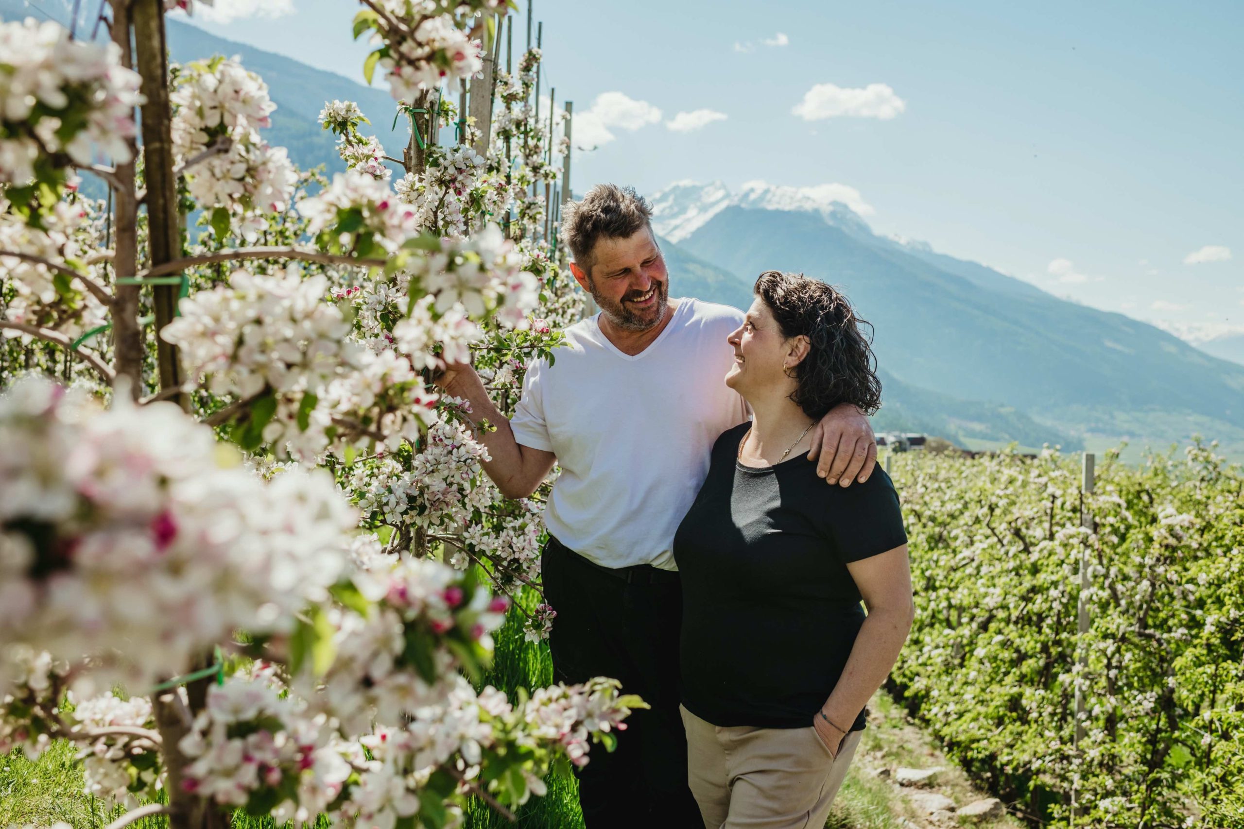 La floración de los manzanos de Val Venosta: un espectáculo de naturaleza