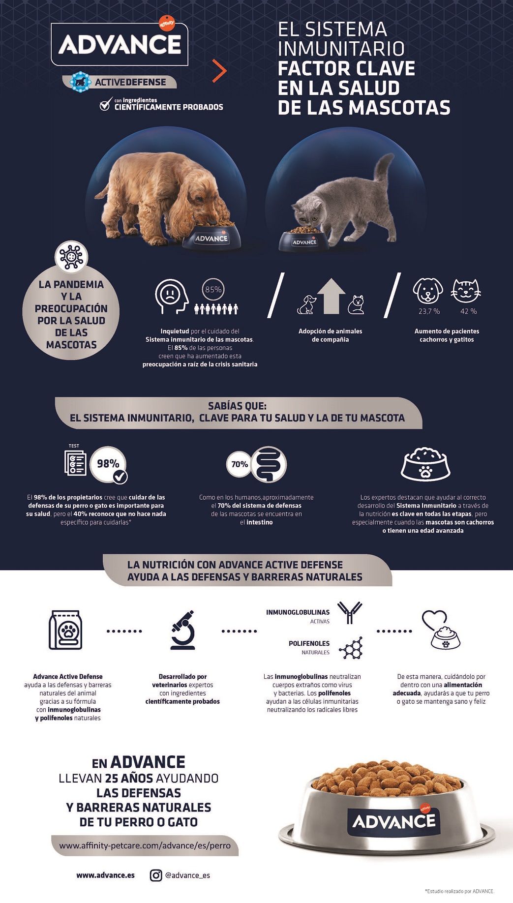 El sistema inmunitario, factor clave en la salud de las mascotas