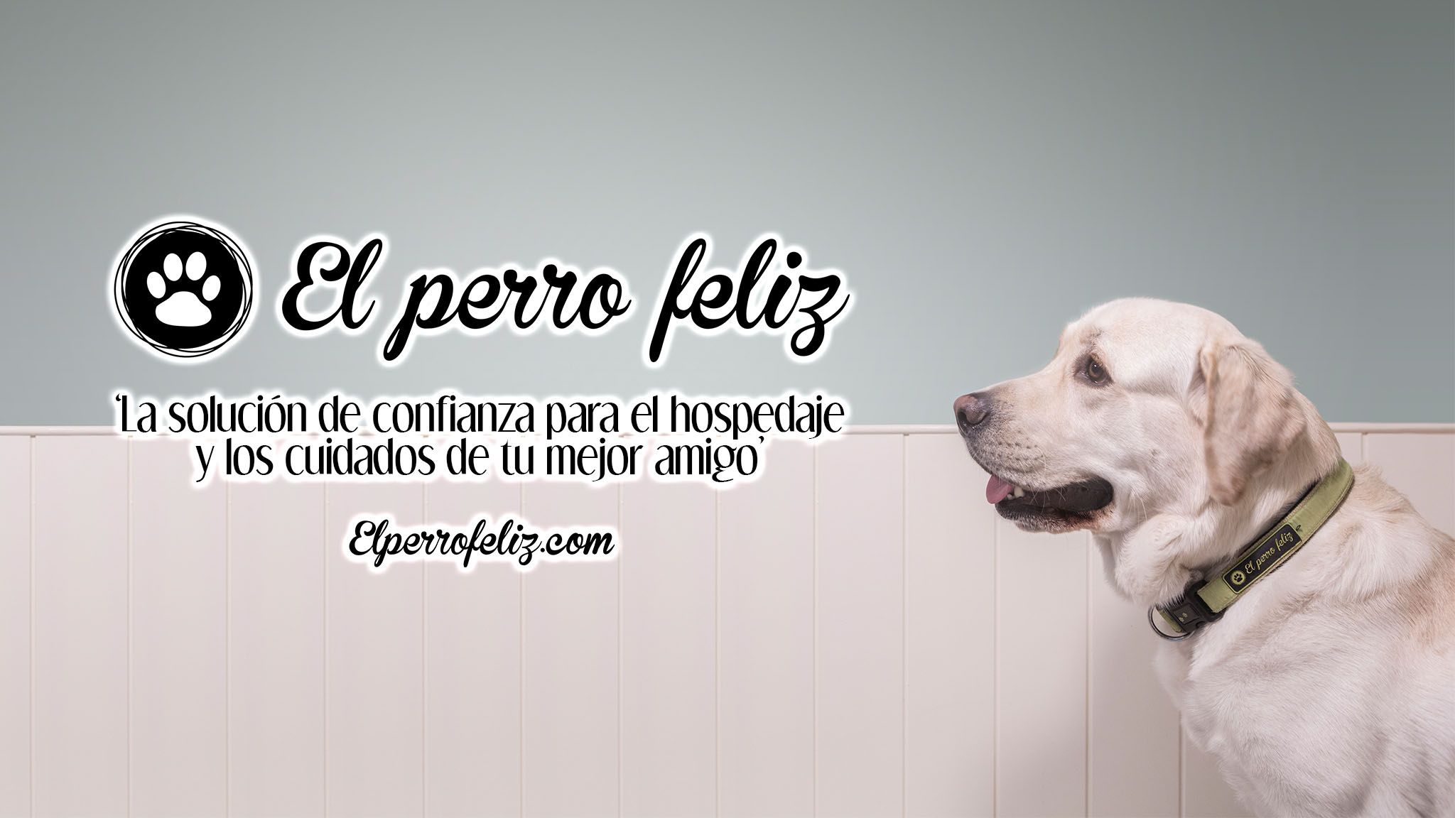 La Franquicia El Perro Feliz, una oportunidad para jóvenes emprendedores