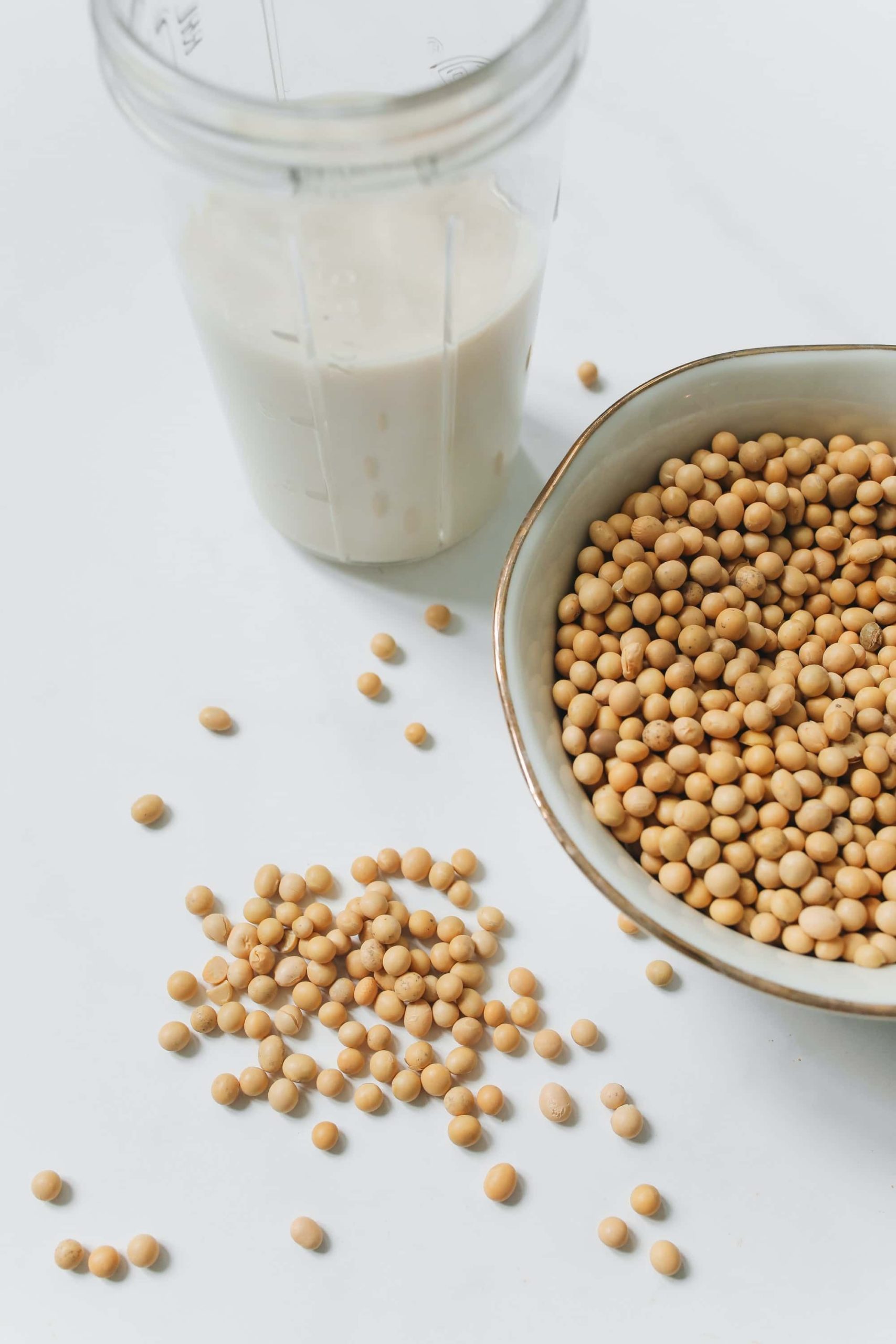 La soja, una proteína a tener en cuenta en la salud por Todoproteinas.es