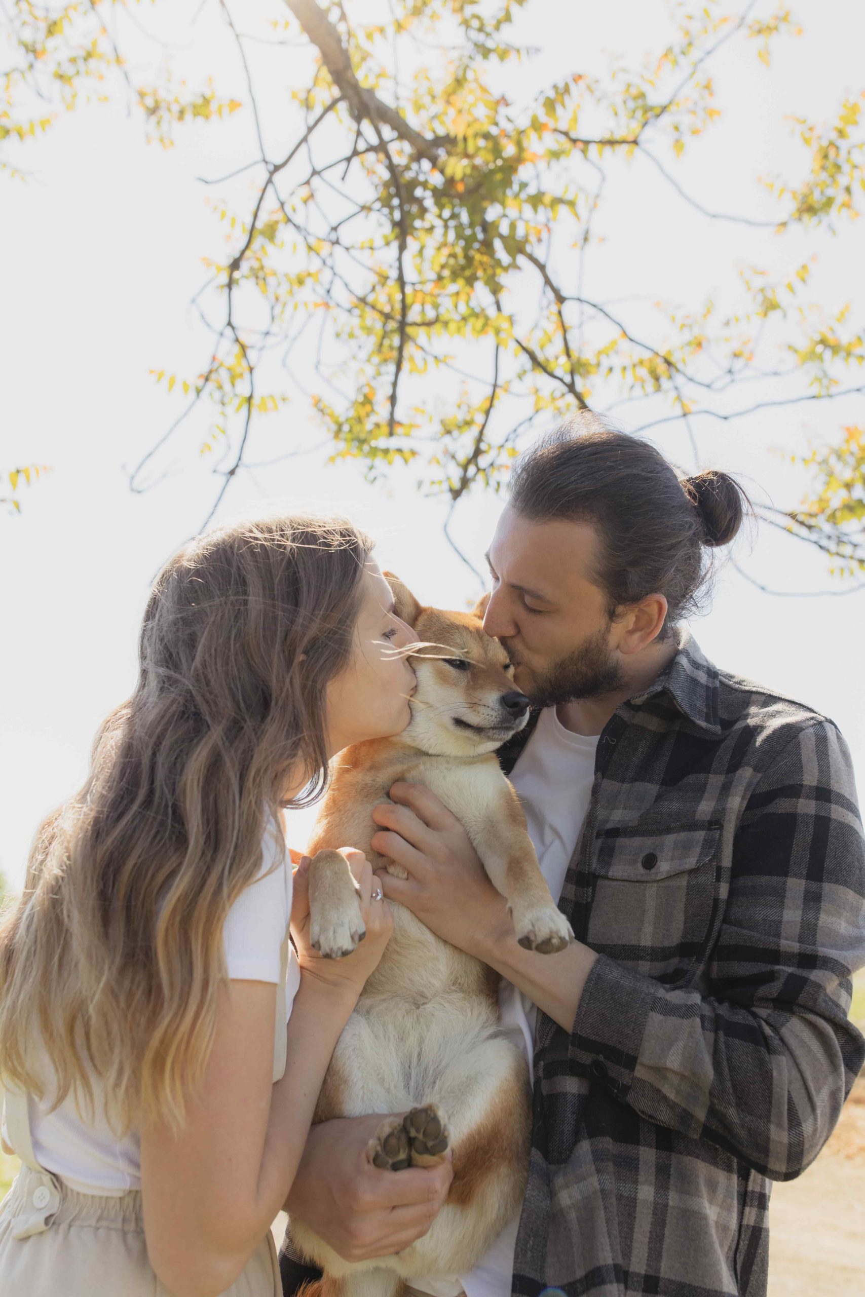¿Cómo lograr un paseo perfecto para la mascota? por carritos.net