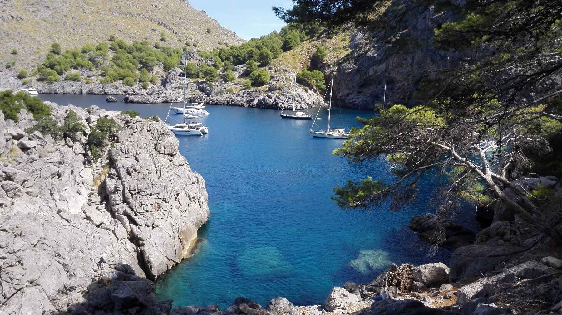 Destinos y experiencias azules, turismo náutico en el IX Congreso Náutico