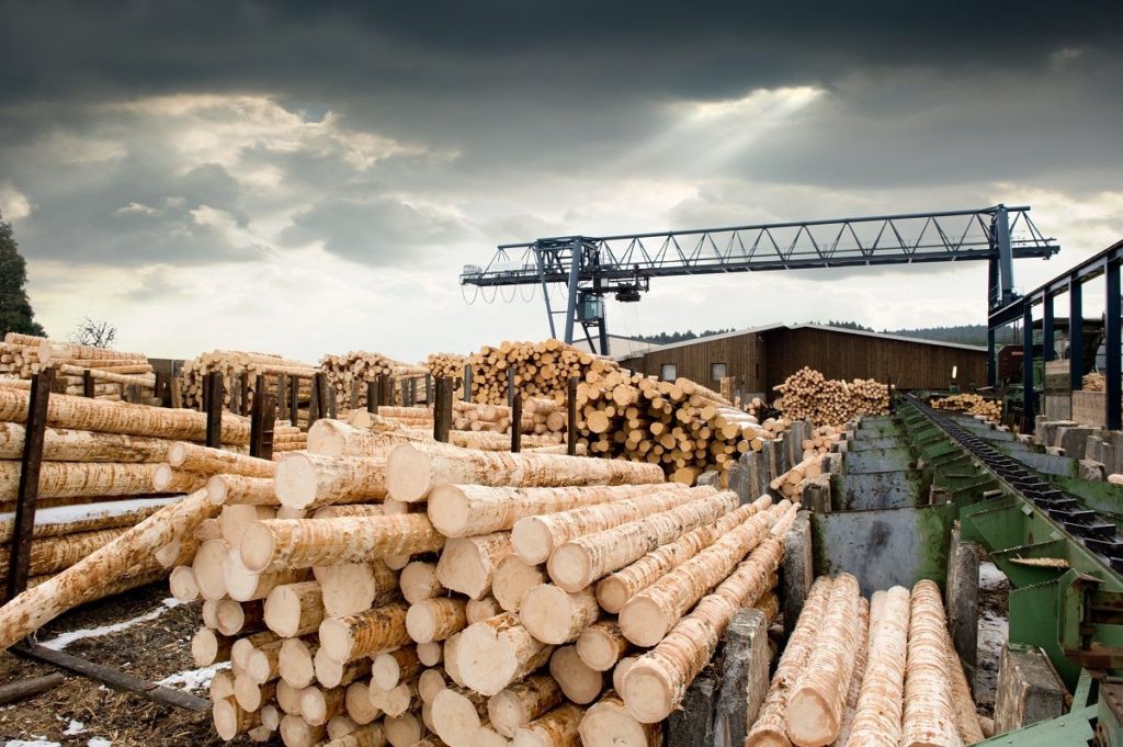 Foto de Industria Maderera