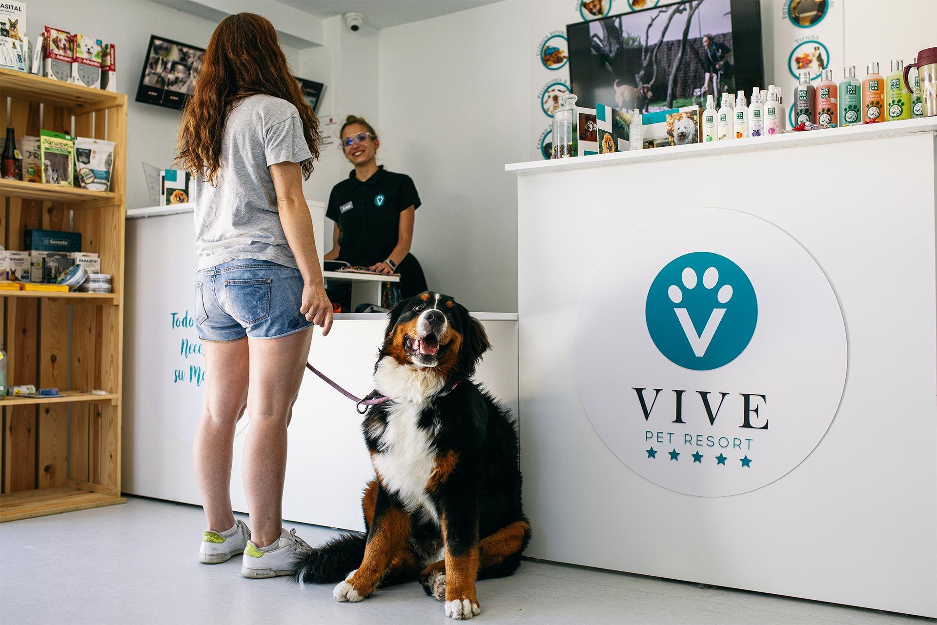 Vive Pet Resort, marca referente en el hospedaje de mascotas, confía en Tormo Franquicias para expandirse