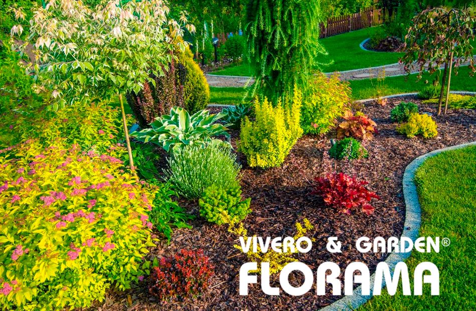 Foto de Jardines y zonas verdes: diseño, tipos y costes, por VIVEROS