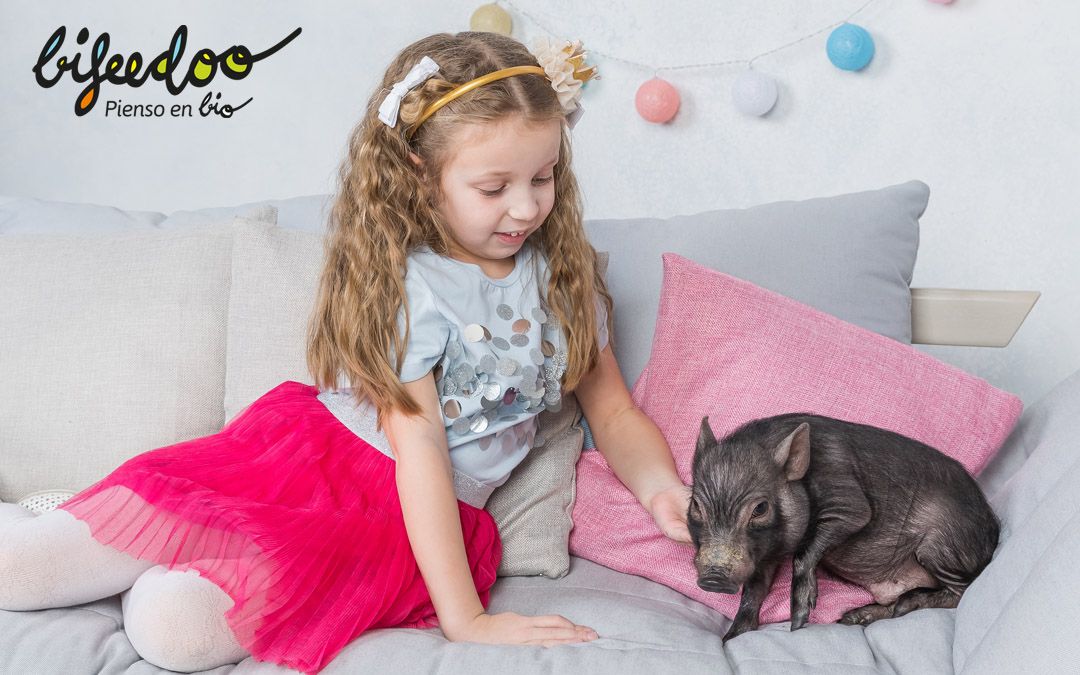 Consejos sobre el pienso ecológico para cerdos mascota, según Bifeedoo