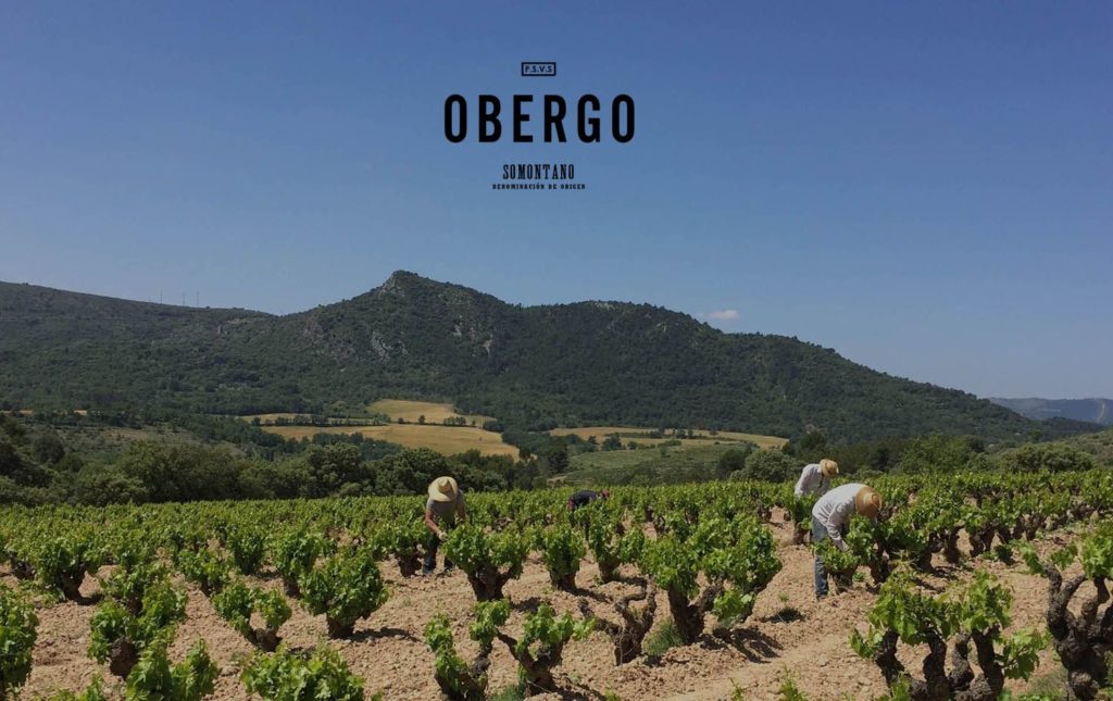 Foto de Bodegas Obergo