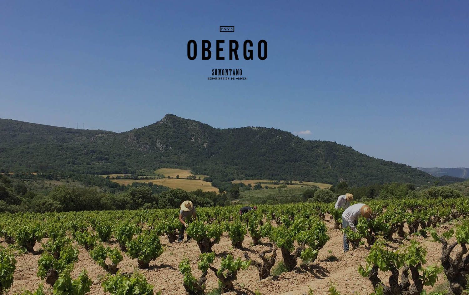 El vino tinto del Somontano tiene como principal embajador a Obergo